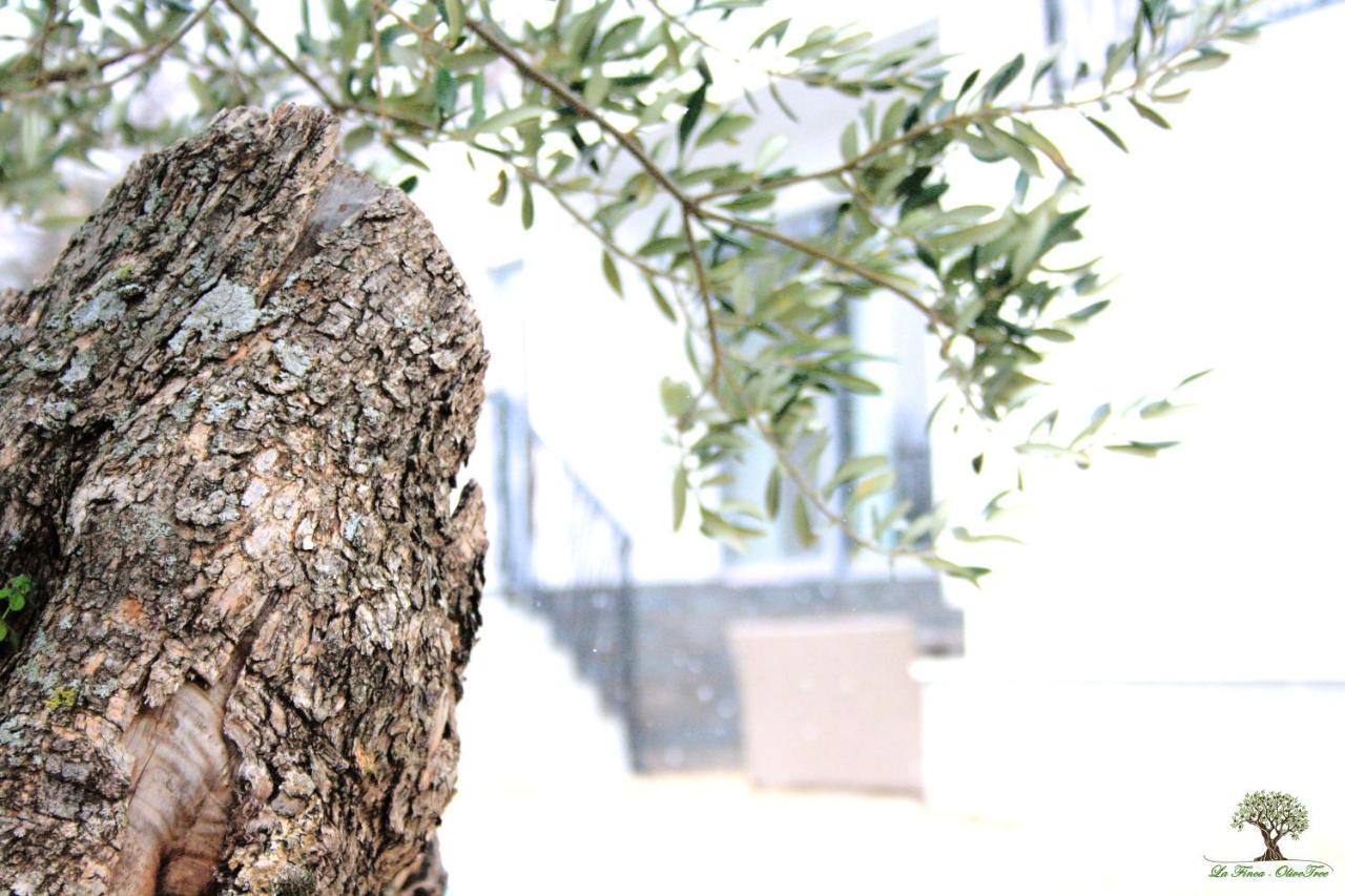 La Finca Olivetree Katuni Luaran gambar